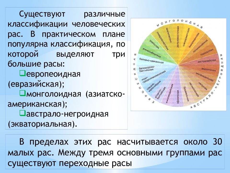 Расовые классификации