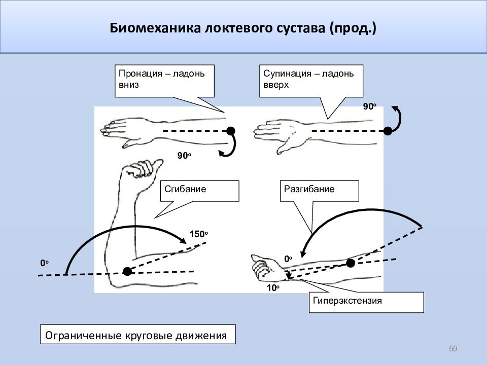 Биомеханика суставов. Биомеханика движений в локтевом суставе. Пронация и супинация локтевого сустава. Движения в суставах пронация и супинация. Биомеханика суставов оси движения.