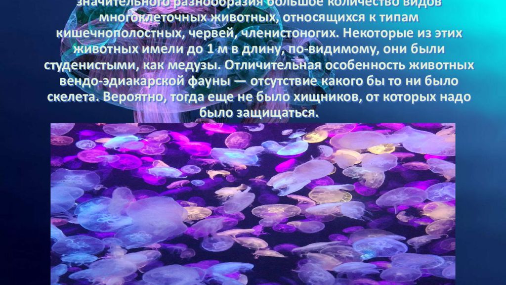 криптозой презентация 11 класс. докембрий протерозой. водоросли протерозойской эры. архейская эра.