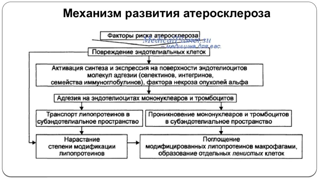 Теории развития атеросклероза. Патогенез атеросклероза патофизиология. Атеросклероз патогенез патфиз. Механизм развития атеросклероза патофизиология. Стадии атеросклероза патофизиология.