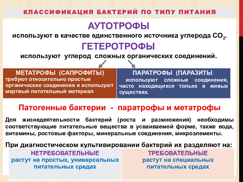 Классификация микроорганизмов микробиология презентация