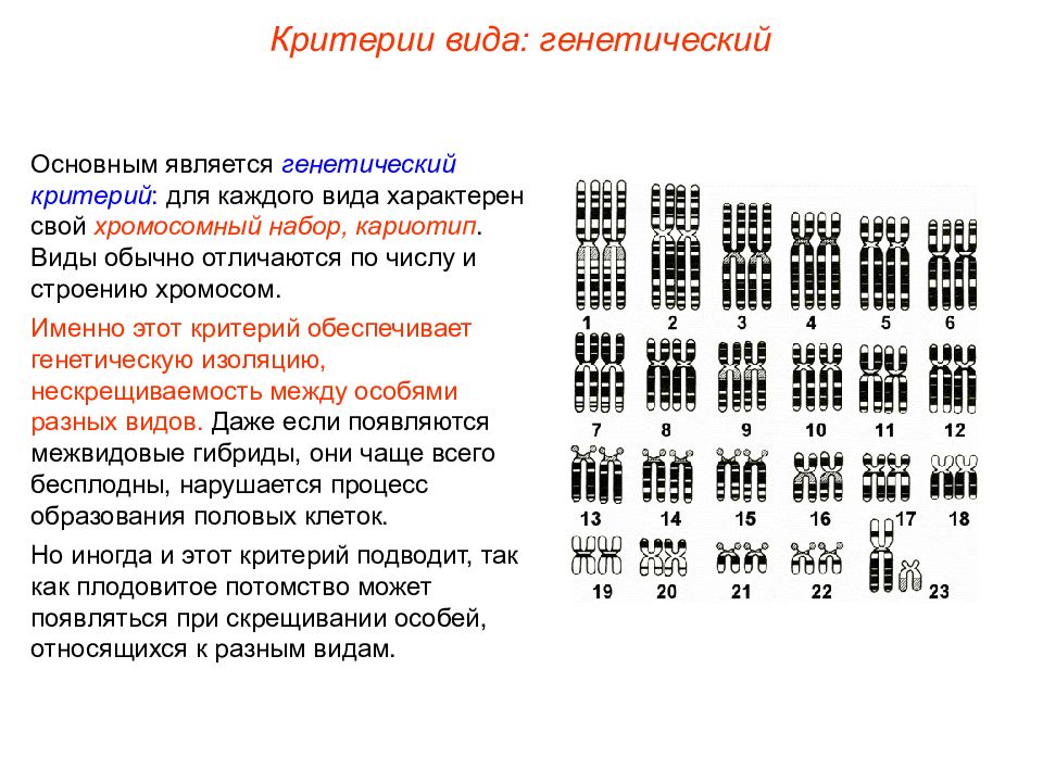 Кариотип характерен для. Генетико-кариотипический критерий.