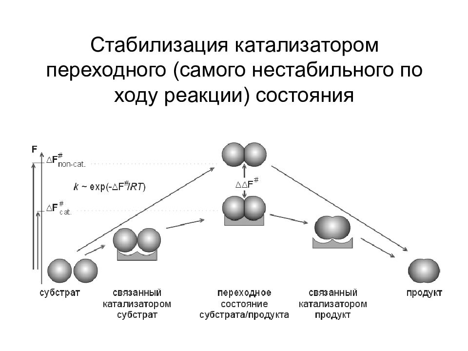 Стабилизация. Стабилизация переходного состояния в ферментативных реакциях. Стабилизация катализатора. Переходное состояние реакции. Катализатор фермент ход реакции.