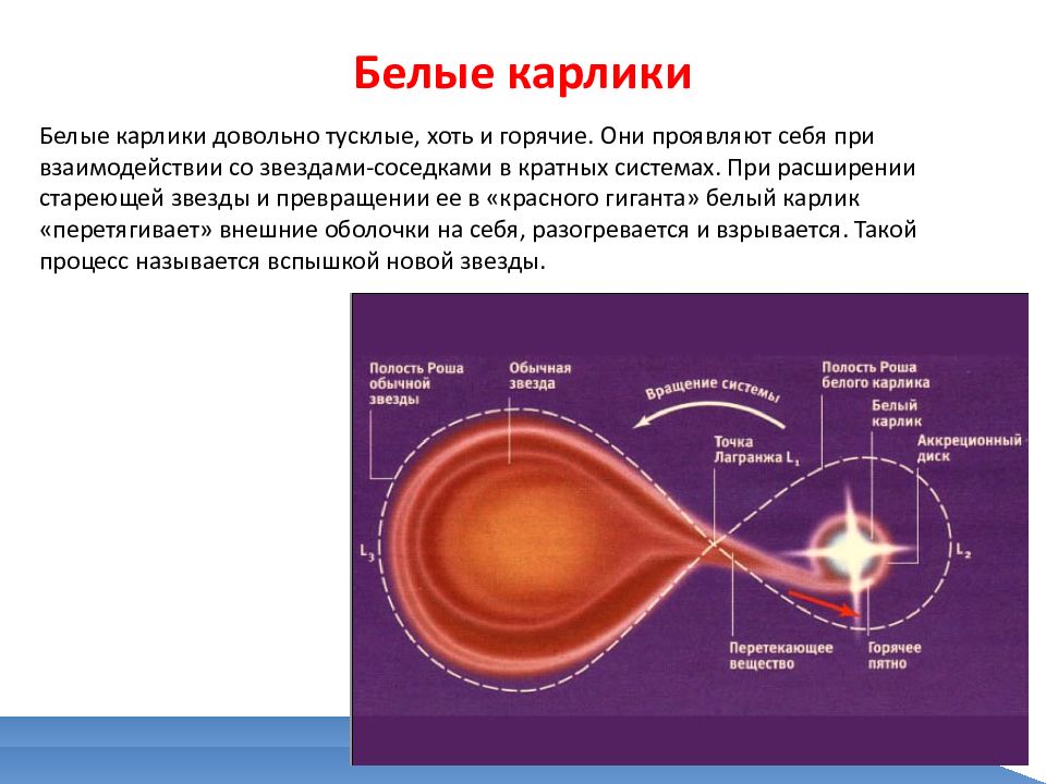 Белые карлики астрономия презентация