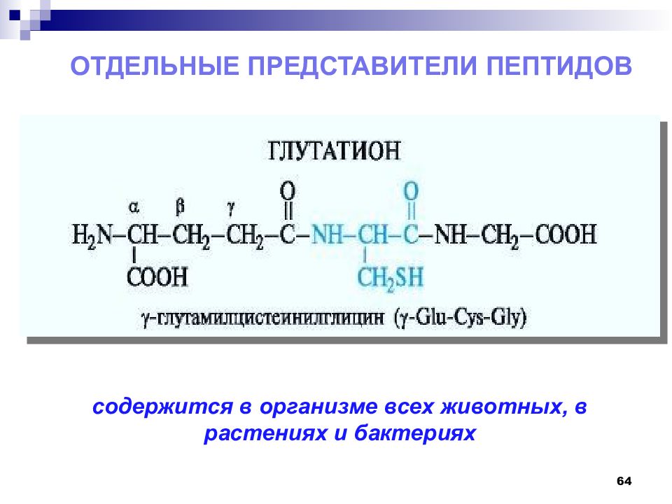 Презентация о аминокислотах