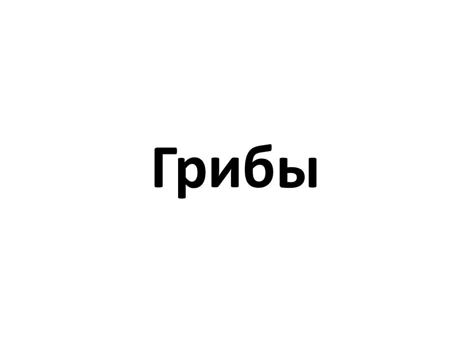 Грибы