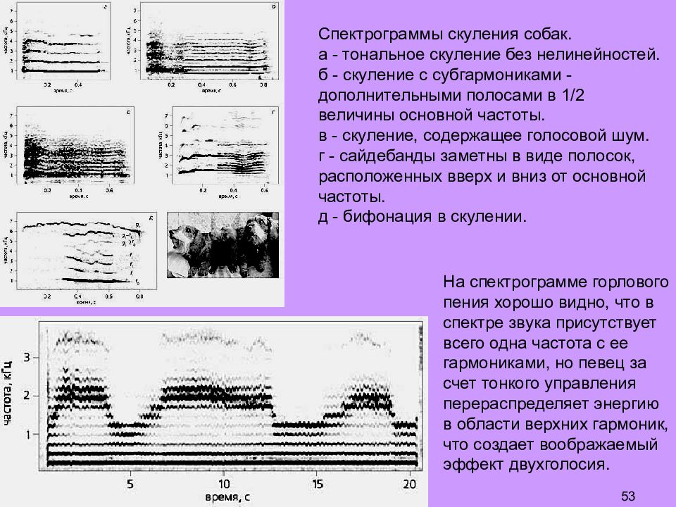 Сонограмма звука. Субгармоники. Субгармоника сигнала. Спектрограмма шума.