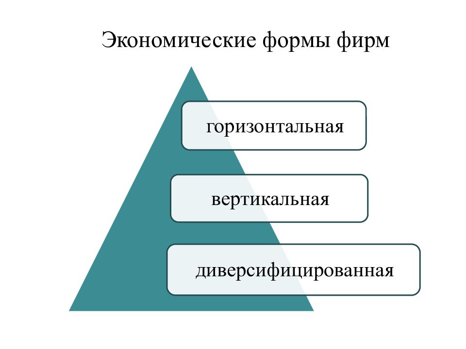 Горизонтальная фирма. Экономические формы. Фирма в рыночной экономике план. Формы фирм в экономике. Формы экономического устройства.