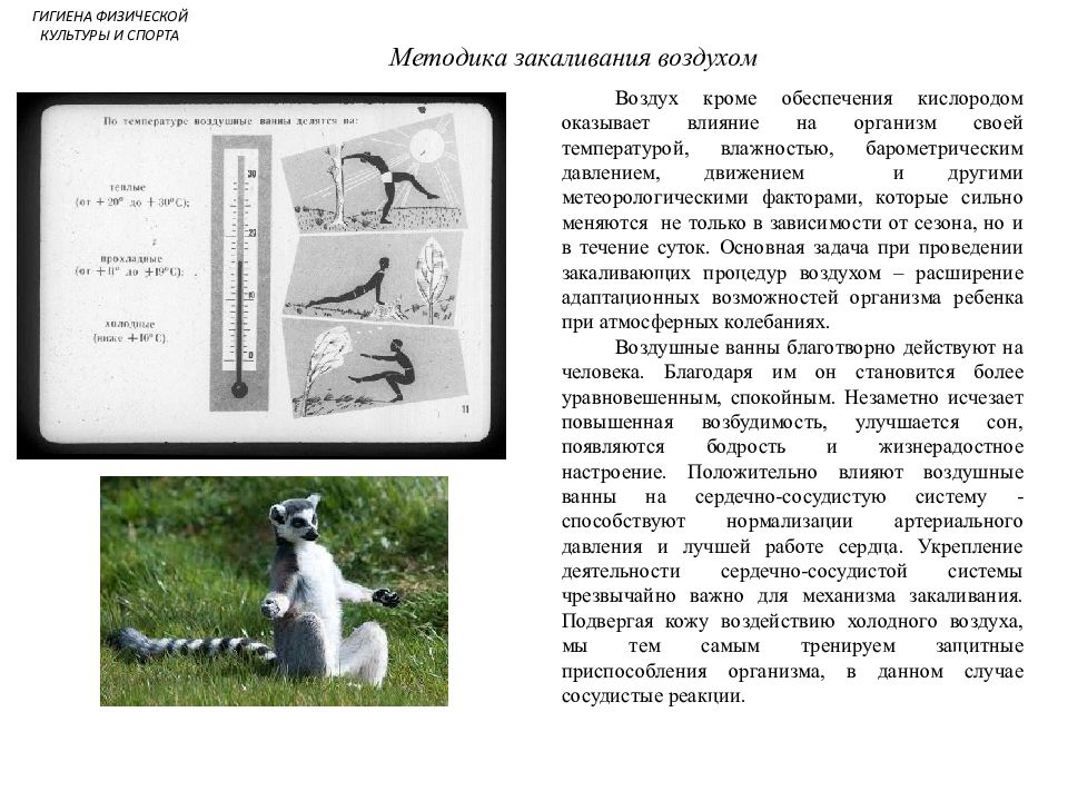 Гигиена физической культуры и спорта реферат. Гигиена физической культуры и спорта книга.