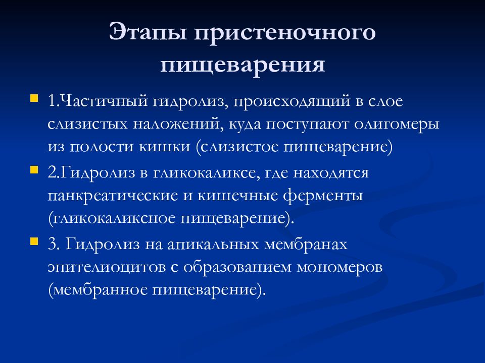 Пристеночное пищеварение это. Ферменты пристеночного пищеварения. Этапы пищеварения. Фазы пристеночного пищеварения. Пристеночное пищеварение физиология.