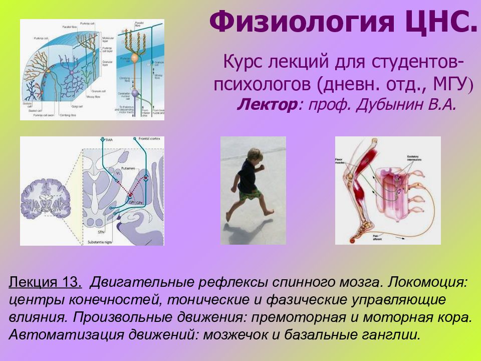 Физиология ЦНС. Курс лекций для студентов - психологов (дневн. отд., МГУ )