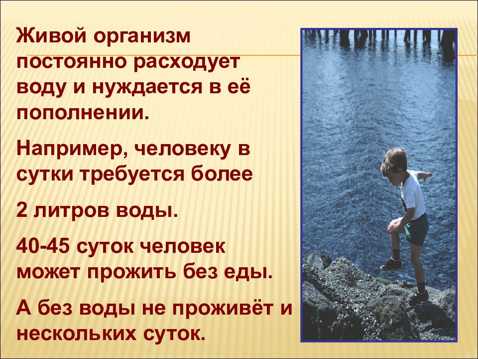 Можно ли жить без мужчин. Без воды человек может прожить. Можно ли жить без воды. Жизнь без воды. Человеку в сутки требуется более 2 литров воды.