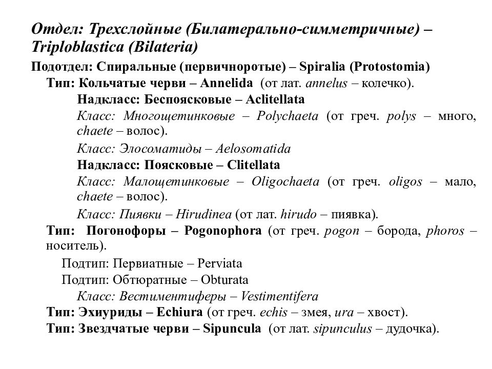 Отдел: Трехслойные (Билатерально-симметричные) – Triploblastica ( Bilateria