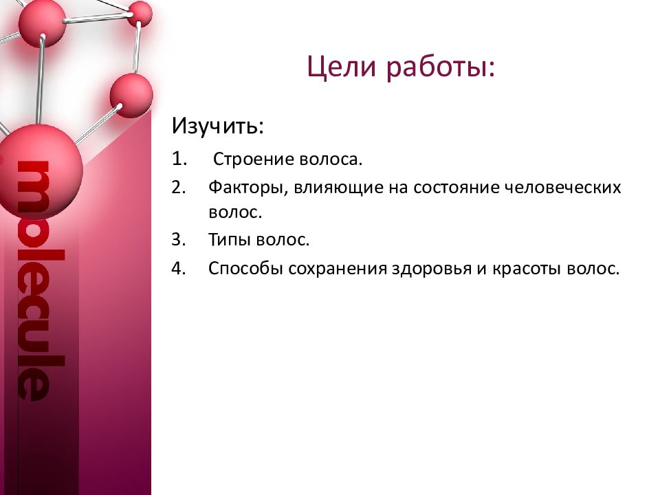 Презентация годового проекта