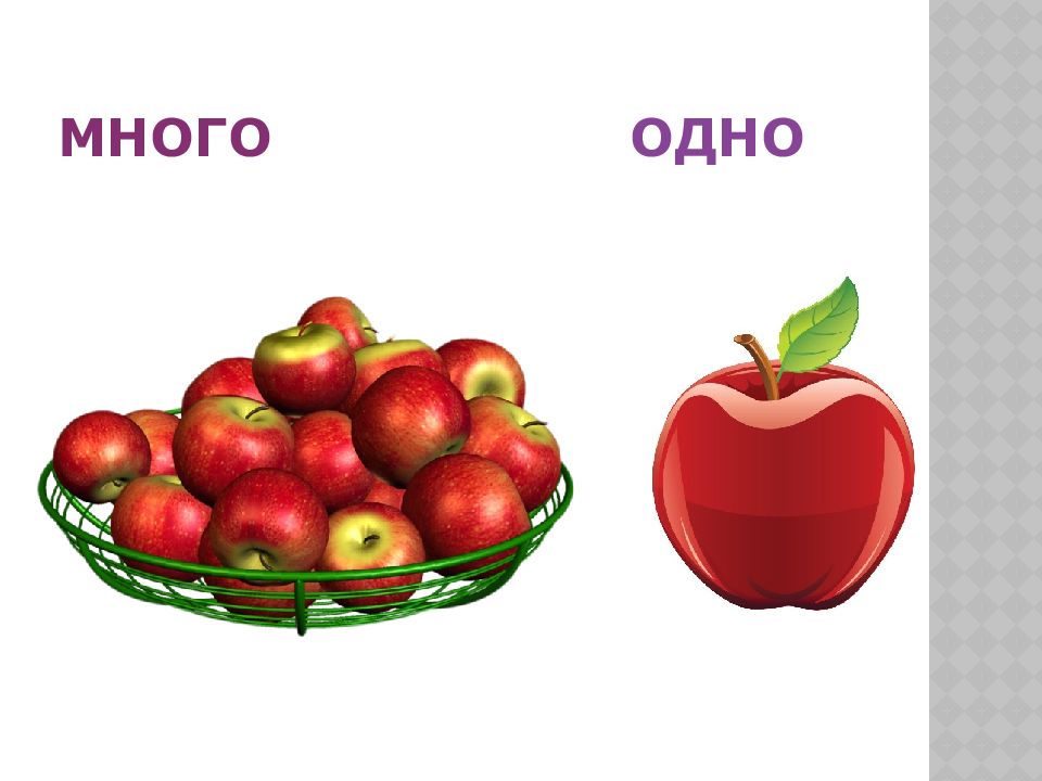 Включи 1 много. Один - много. Понятие один много для дошкольников. Игра один много для дошкольников. Множества 1 класс.