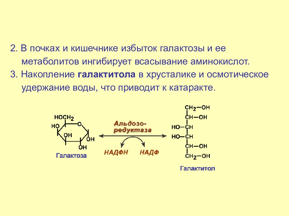 Обмен галактозы схема