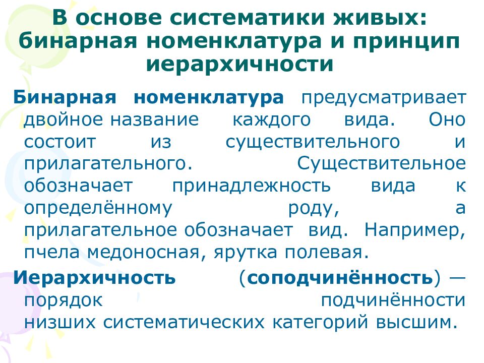 В основе систематики живых: бинарная номенклатура и принцип иерархичности