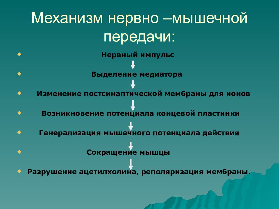 Нарушение мышечного передачи. Механизм нервно-мышечной передачи возбуждения. Механизм нервно мышечной передачи физиология. Механизм передачи возбуждения через нервно-мышечный синапс. Механизм передачи возбуждения в нервно-мышечном синапсе.