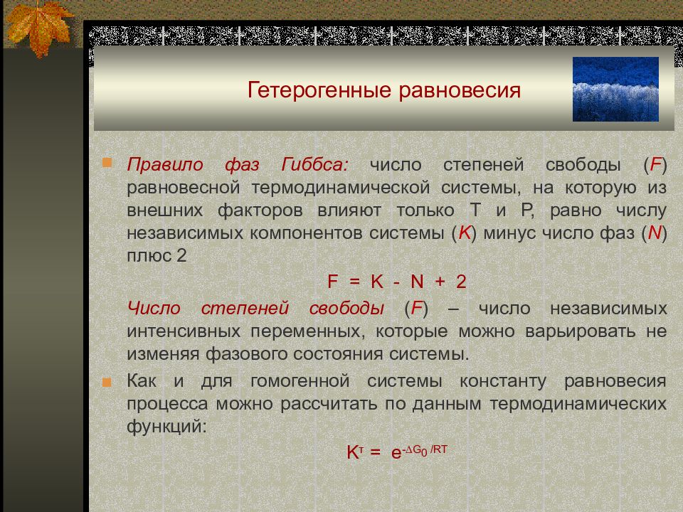 N правило. Гетерогенное равновесие. Гетерогенное равновесие правило фаз Гиббса. Основные принципы гетерогенных фазовых равновесий. Условия гетерогенного равновесия.