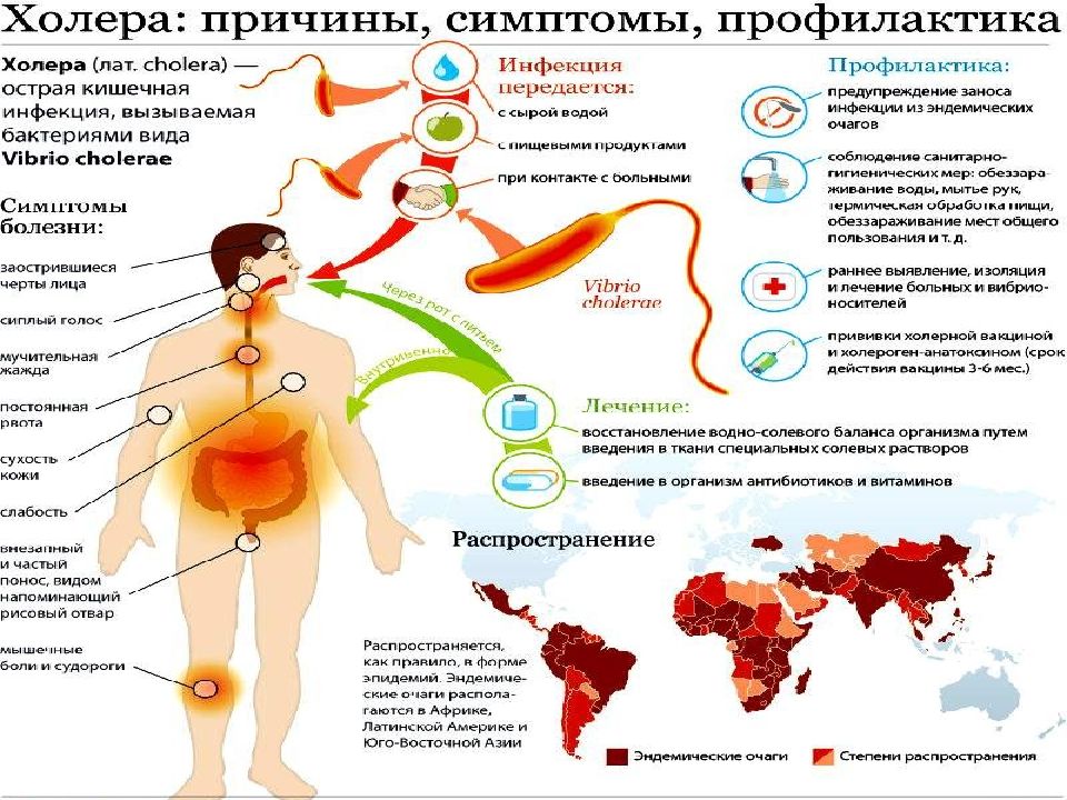 Презентация на тему холера