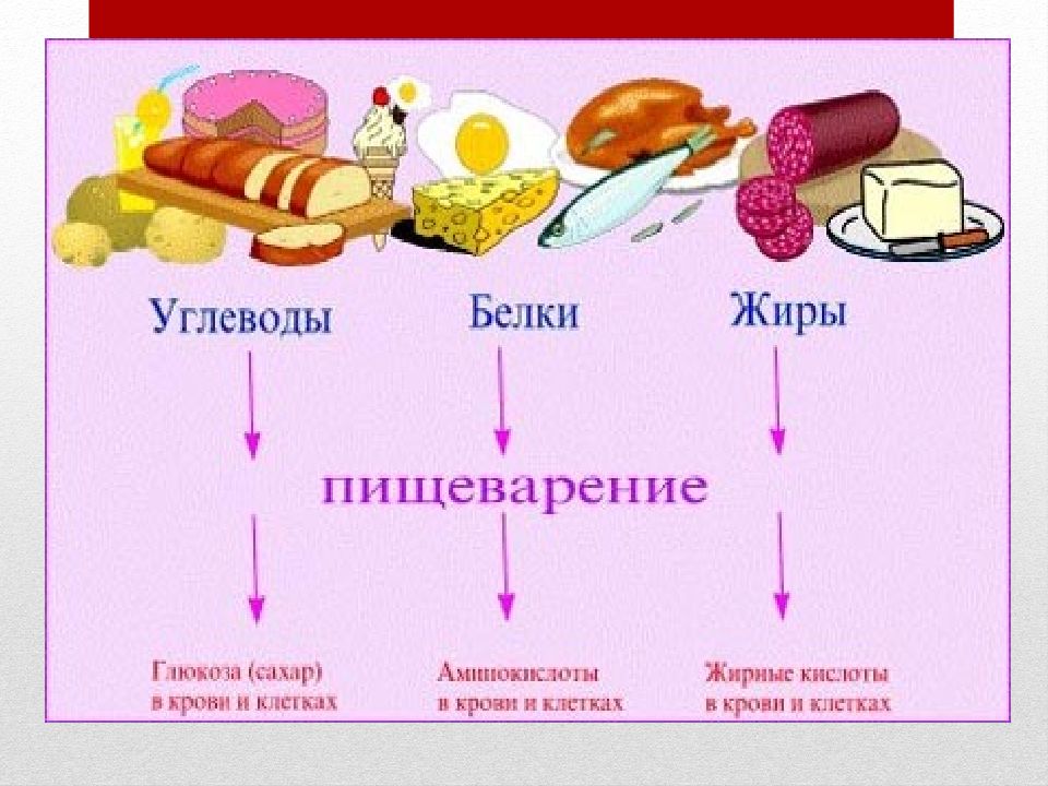 Химия в продуктах питания презентация