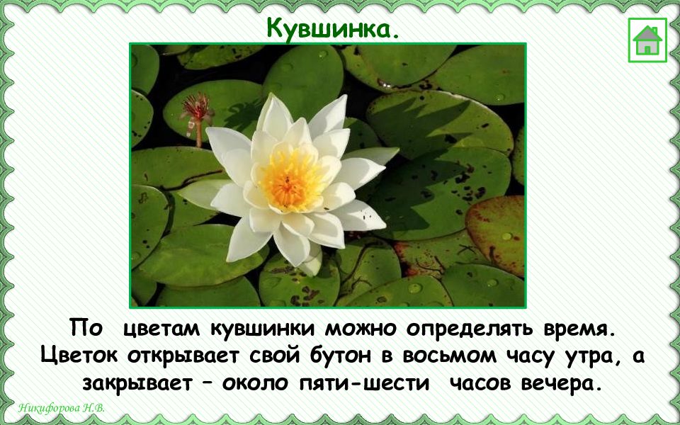 Охрана растений презентация 3 класс окружающий мир. Охрана растений характеристики для 6 класса.