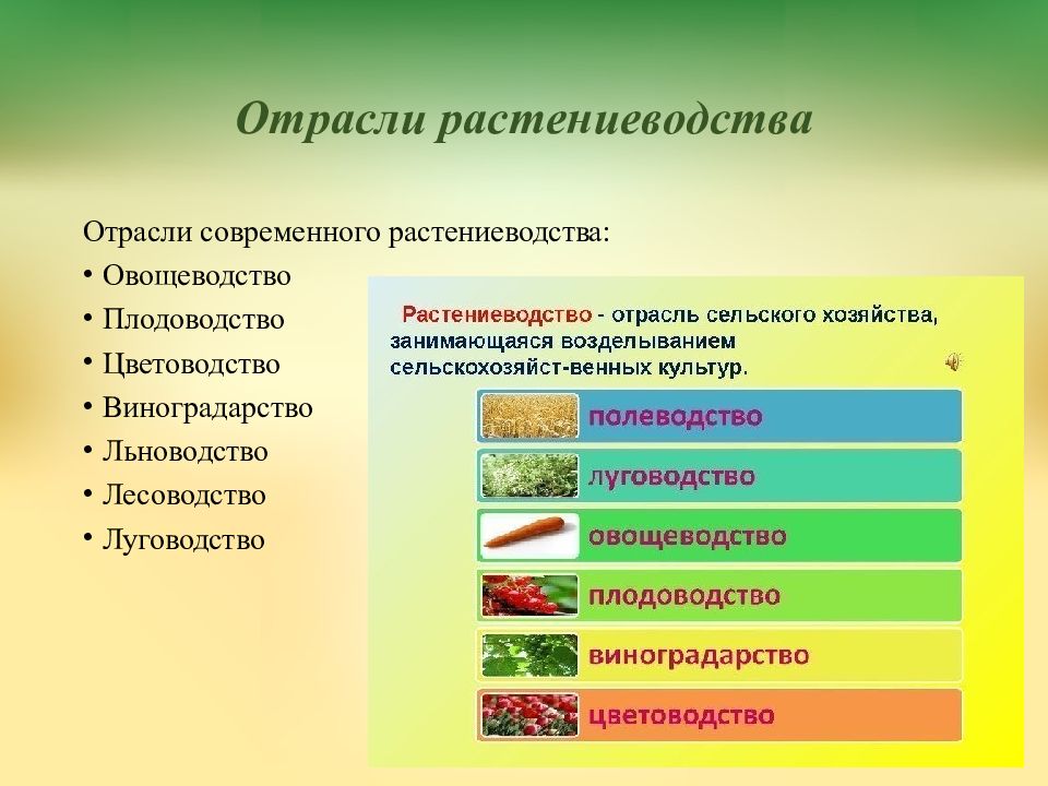 Технология сельскохозяйственного производства и земледелия 8 класс презентация