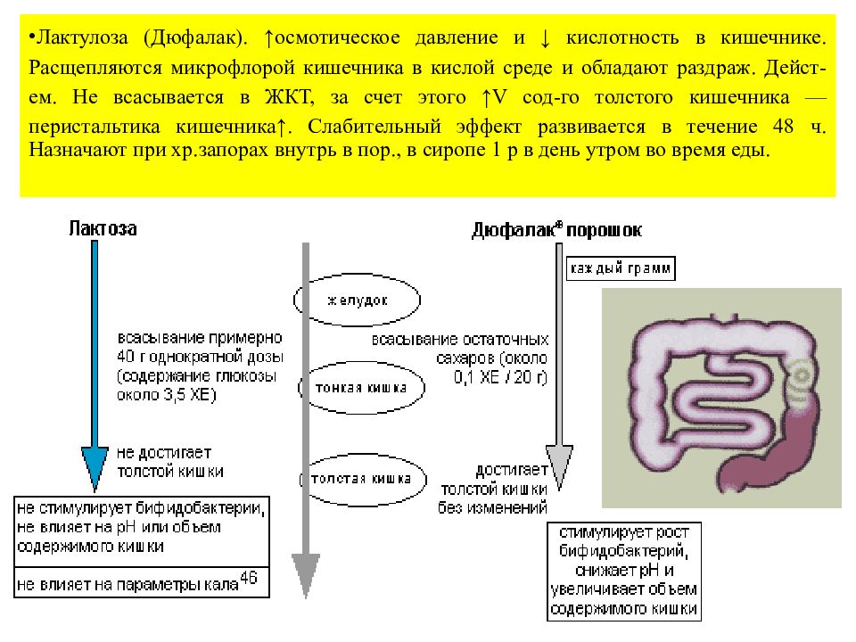 Лс влияющие на жкт презентация