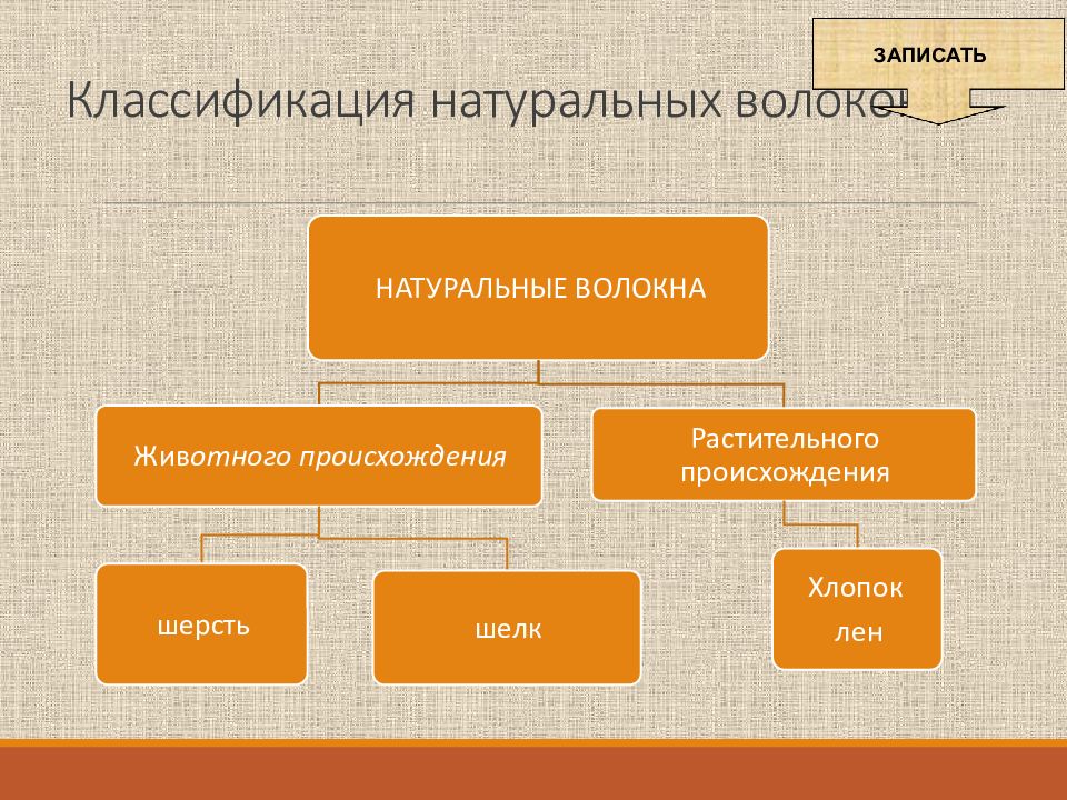 Волокна животного происхождения относятся к волокнам