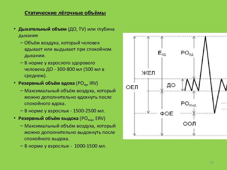 Дыхательные объемы картинка
