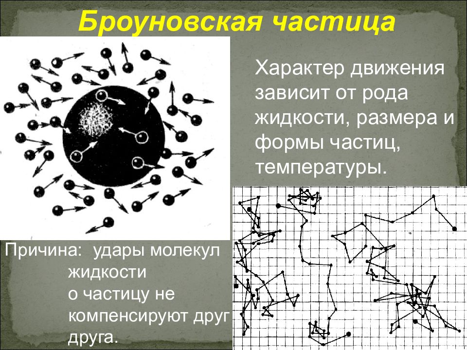 Хаотичное движение частиц. Броуновское движение частиц. Модель броуновского движения. Характер броуновского движения. Схема движения броуновской частицы.