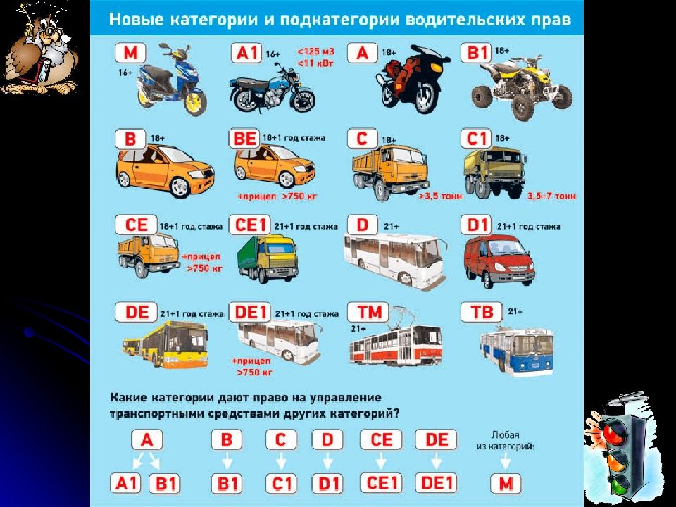 Тс в1. Категории в1 и с1 в водительском удостоверении.